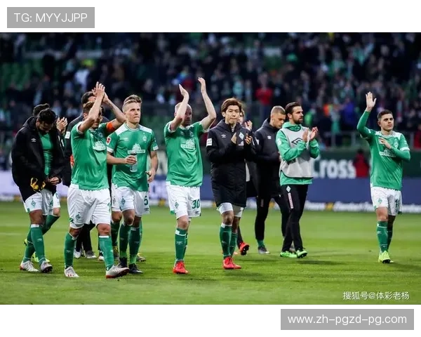 哪几支球队成功升入德甲联赛及历程 哪几支球队成功升入德甲联赛及历程