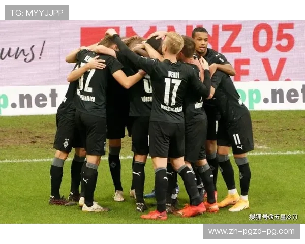 德甲球队模式分类：股份制 vs 独资制