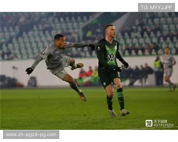 法甲球员伤病影响深度分析